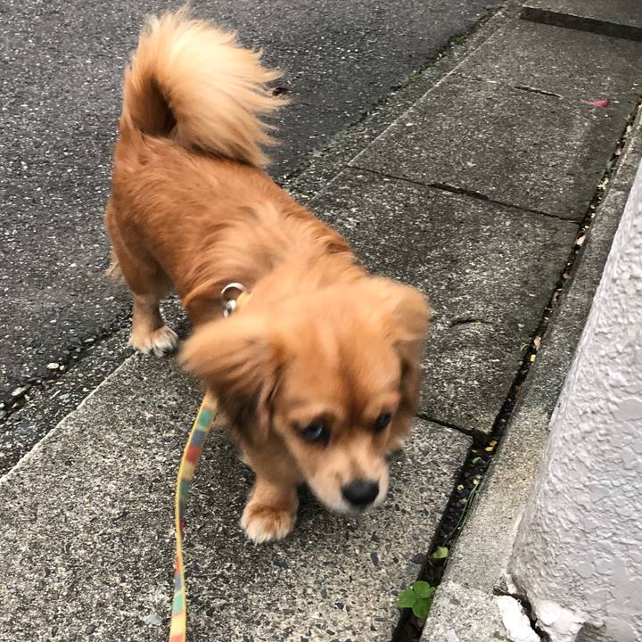 6ad5f8df bf2d 4097 9772 13b4a6050ae4 1508794405388