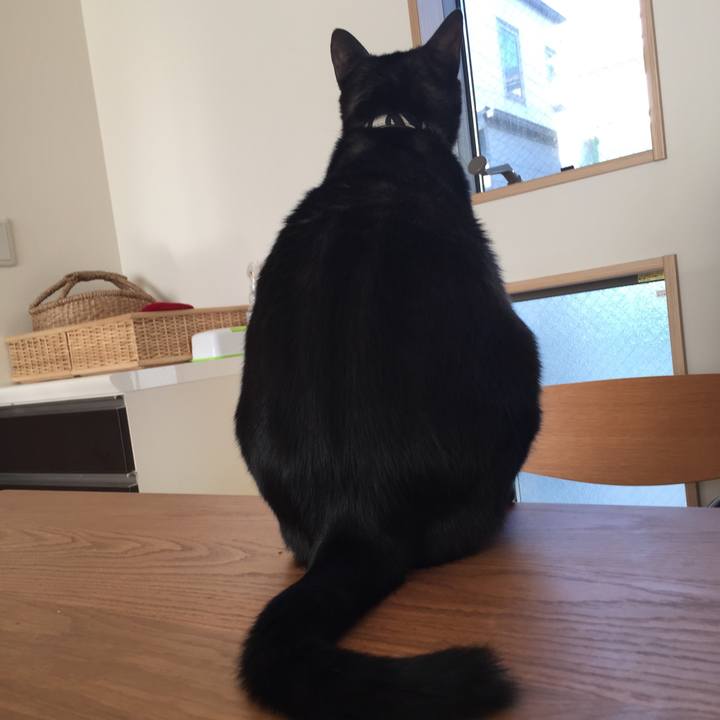 6ad61ead efc2 402f b64d a01868b59c63 1512870294497