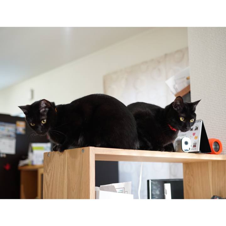 6ad6254a 8ccd 4c92 a330 e25a4bd4a9e2 1548979084186