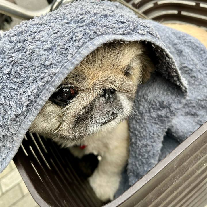 6ad63859 64dd 4287 9bd1 d0f0b78ec089 1760396855219