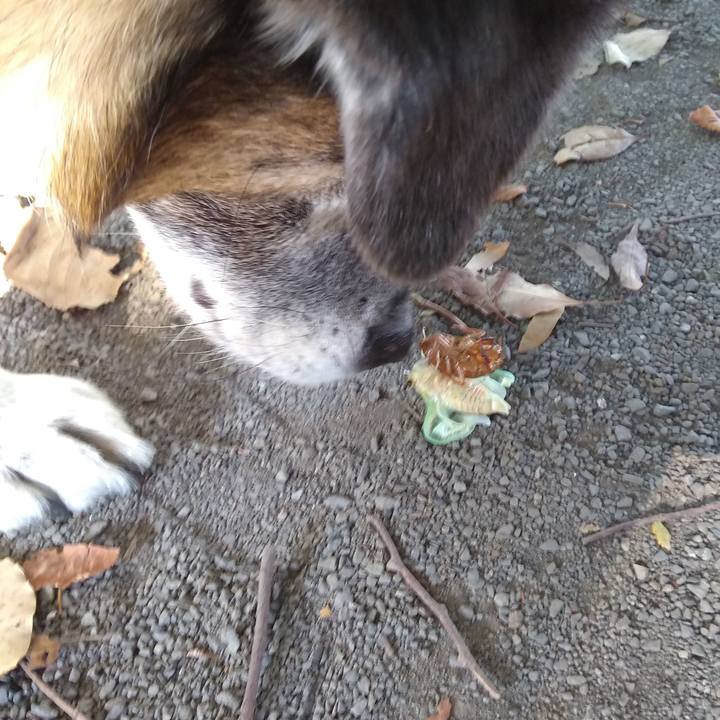 6ad65a26 509c 47be 9c3c fb189b7a8d27 1565305854447