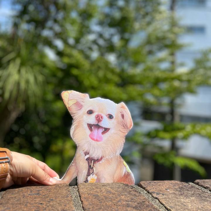 6ad690db 91bc 4d9f 89b7 45fe247e425d 1653545454500