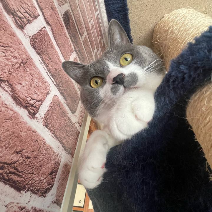 6ad69fb1 78a0 47a6 a67f 541f295702c5 1669269839548