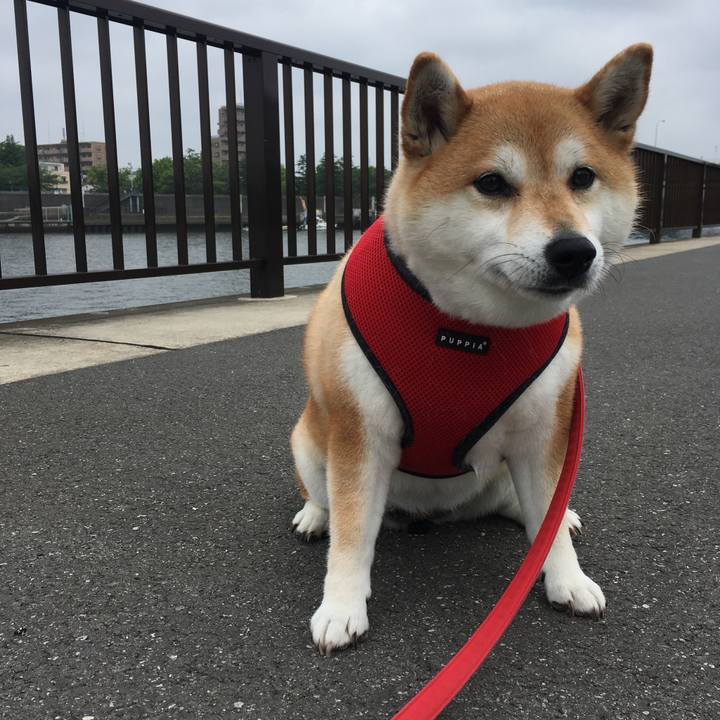 6ad6afa1 936c 45af a989 101d9184dad2 1591237778576