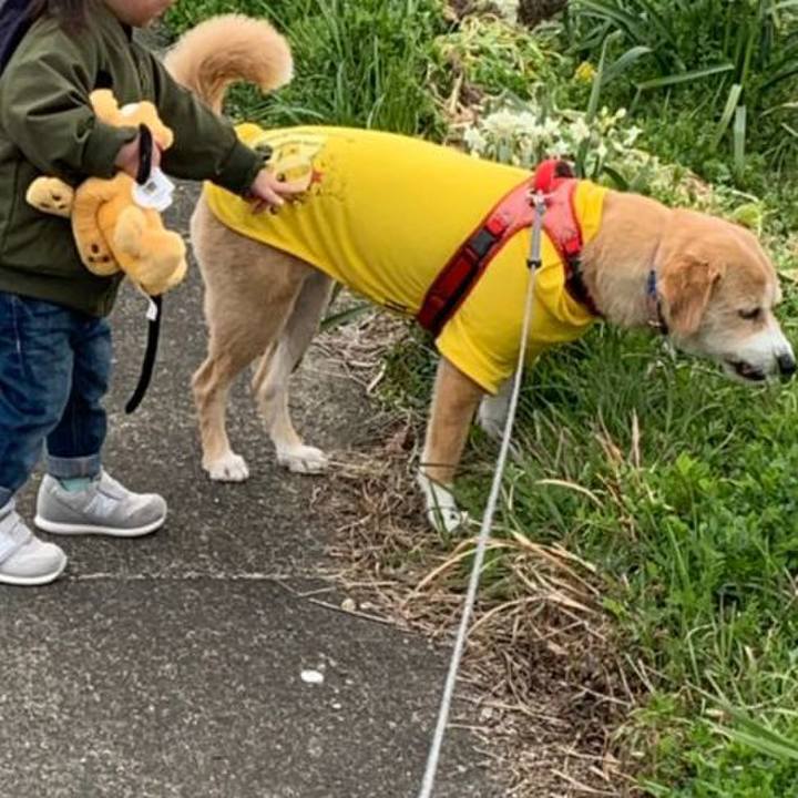 6ad6c447 6f96 4221 98dc 7ccd227ded96 1552863759243