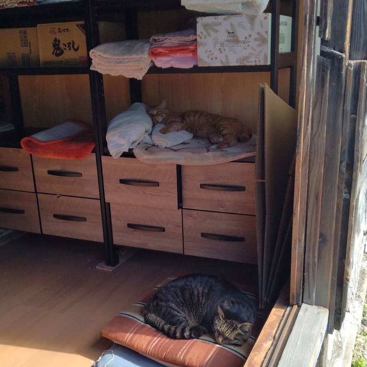 6ad6f629 c44b 413d 9115 d9f31f4fa0fe 1666145856784