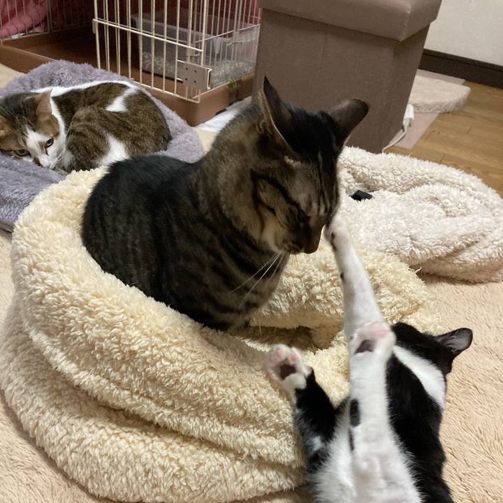 6ad72f2b 72d9 4511 931a 7562624c76f0 1603537051368