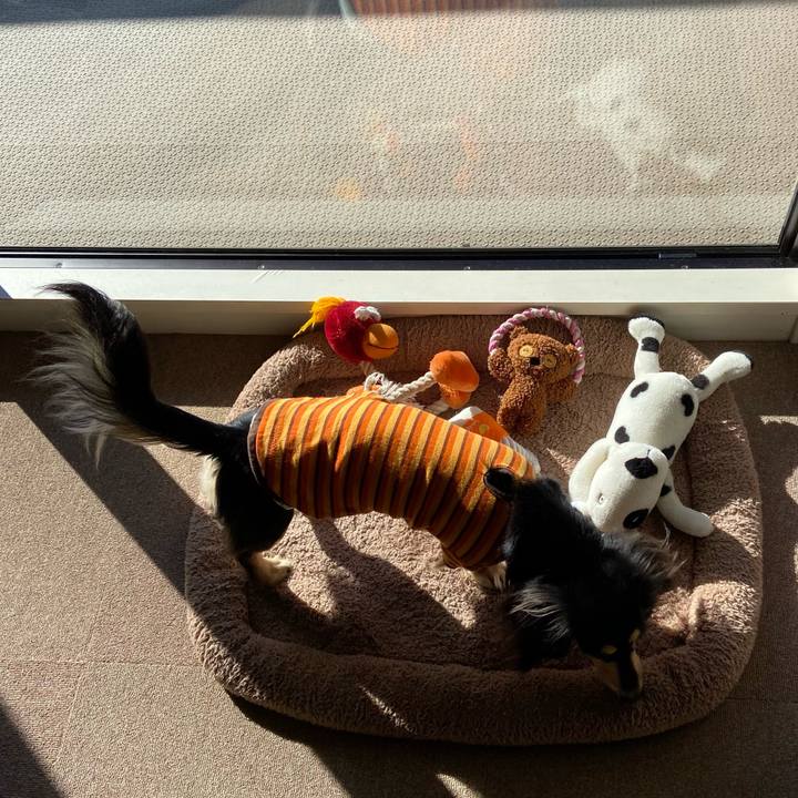 6ad749d2 5c46 4bf8 9617 5646c599c603 1707868764862