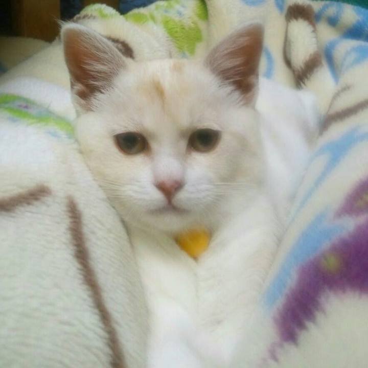 6ad74ad1 37b9 40fc 85b5 d4590fc33b28 1507649476106