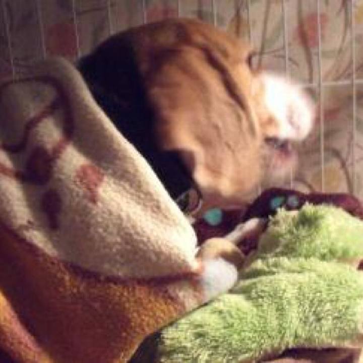 6ad76150 ca5f 4c42 a6bc 5883c1a9267d 1732148858066