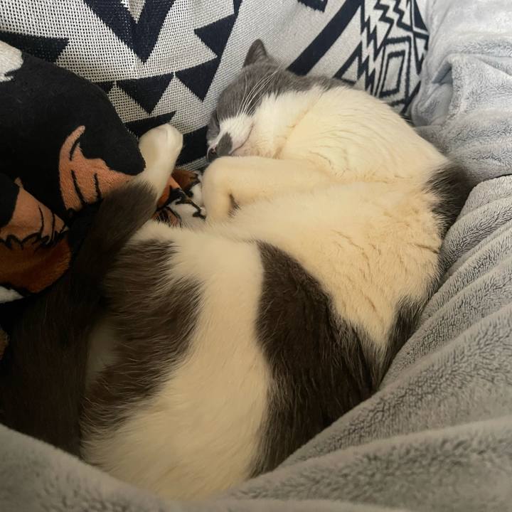 6ad797fe 4c92 4fa4 88a6 6e0c3e72893d 1741667902698