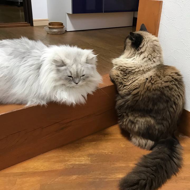 6ad7a334 5a90 49ea 8e1a ae873d34cce9 1557653828452