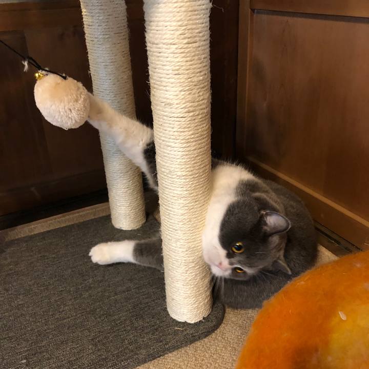 6ad7c3a9 913d 4cfa 9869 8849e92a7616 1580882430416