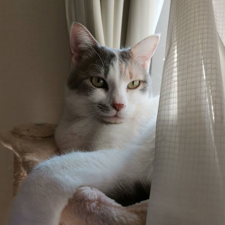 6ad7d343 5049 436d 9065 dcdcfee561f6 1681357944727