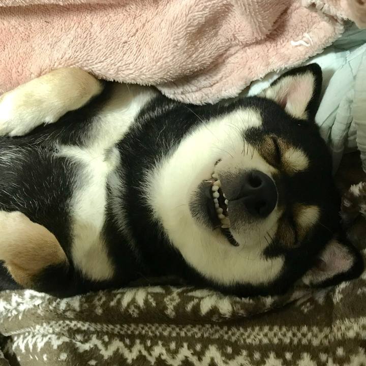 6ad7d6d5 6aed 4603 83d1 5ba18d70ab04 1522681123021