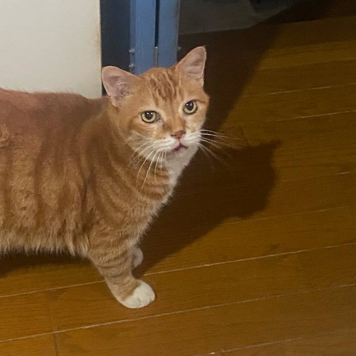 6ad7d9e4 e093 4bb6 9ac5 1fdc70eb998b 1723713537951