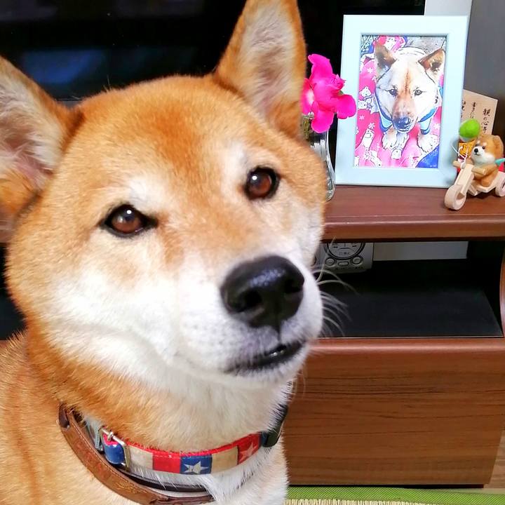 6ad7efc5 0585 4b36 8a9b e097b2355594 1660460880043