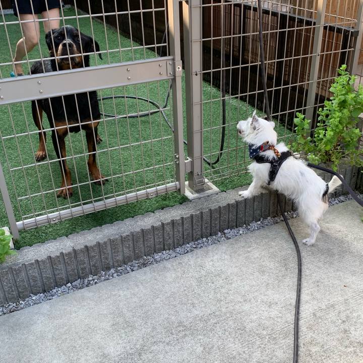 6ad81702 fb8d 4796 a03f 7d55decc5079 1722725747916