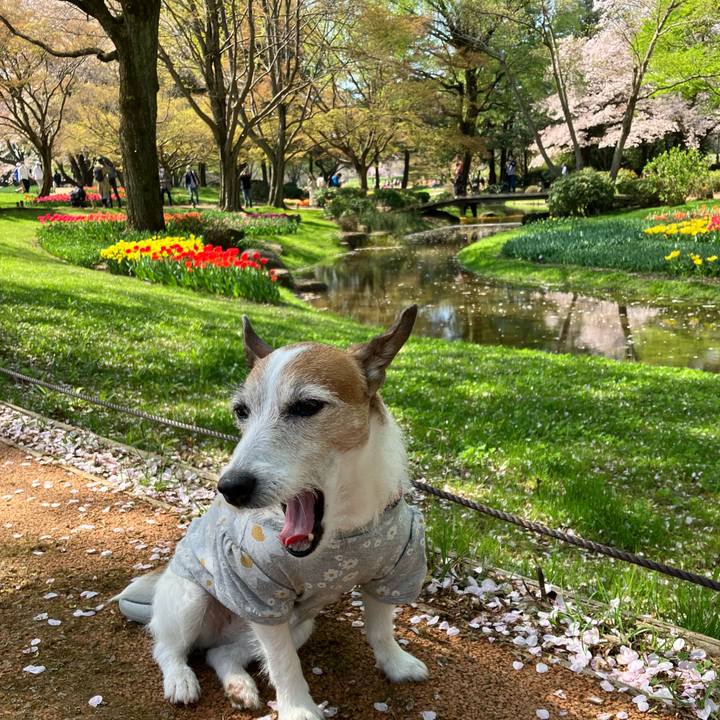 6ad819cb fa07 4acb ac15 e11fb7e070ce 1680564795136