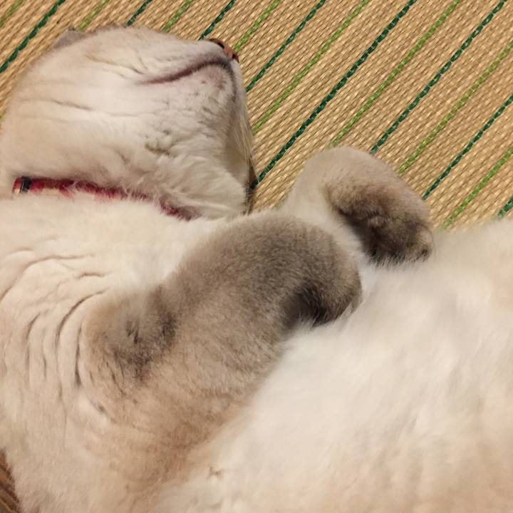 6ad843ed d071 4f5f 973a ef56741f73cf 1567248539633