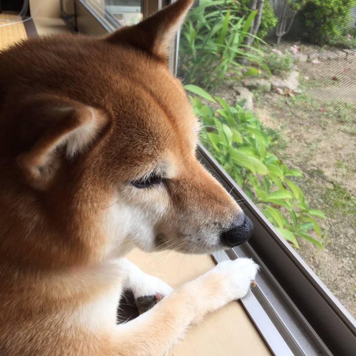 6ad8606a e8d1 48d0 a240 e36b44a77f19 1537316424484