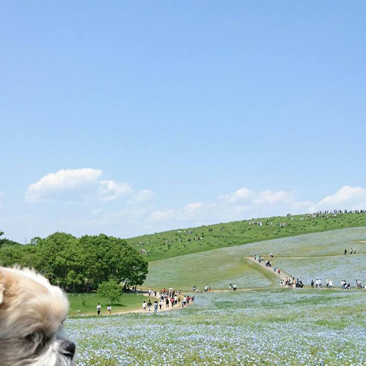 6ad86792 5181 484c 85a1 abb92079a06d 1525587963298