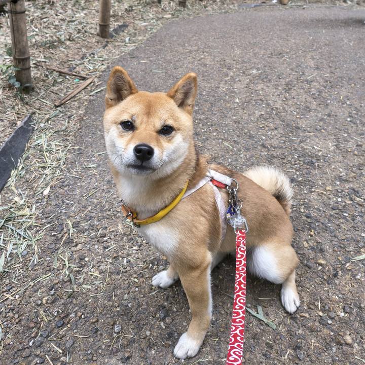 6ad88c61 0dd5 4d0b b438 c100cd19eea4 1774270313627