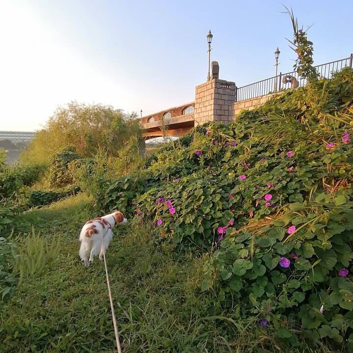 6ad898c9 3cb5 4fe9 95ad e221e6c75fc2 1604014648215