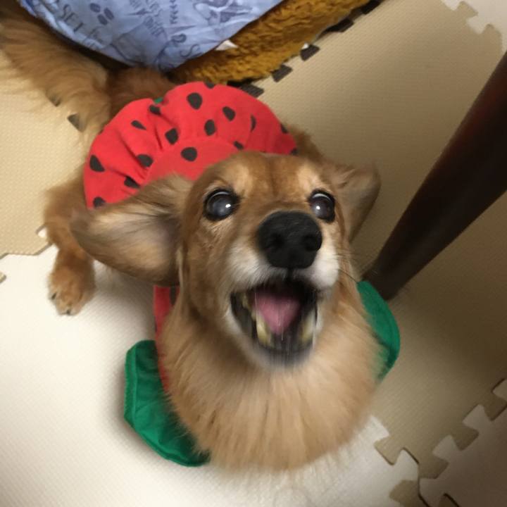 6ad8df8e 7e31 4d92 90db c8f16d2d09ba 1631267022132