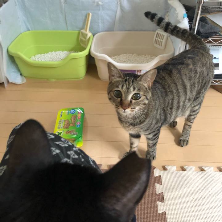 6ad92e04 16e0 4cbf 9513 2534418cda7a 1530960260987