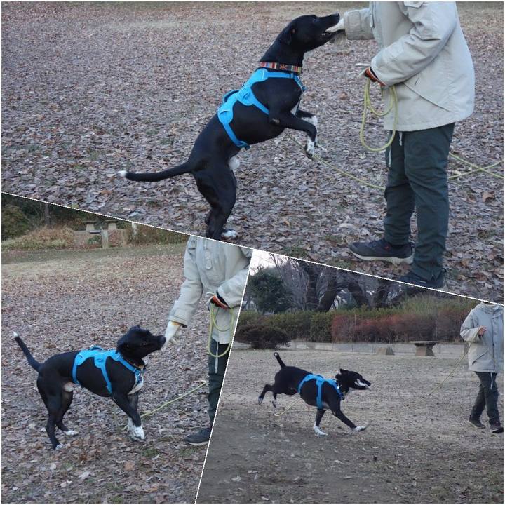 6ad930bc f10b 4866 8f00 d47eea9fce10 1609978059452