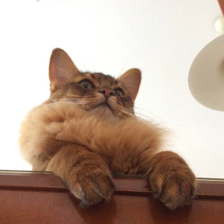 6ad93971 213f 4fb3 9bb2 6e80ebbcf88d 1598580570096