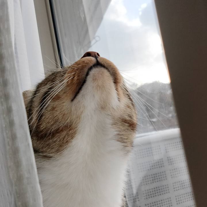 6ad983d7 0b5a 4dd9 9f84 22aa26ccfaa7 1677364960970