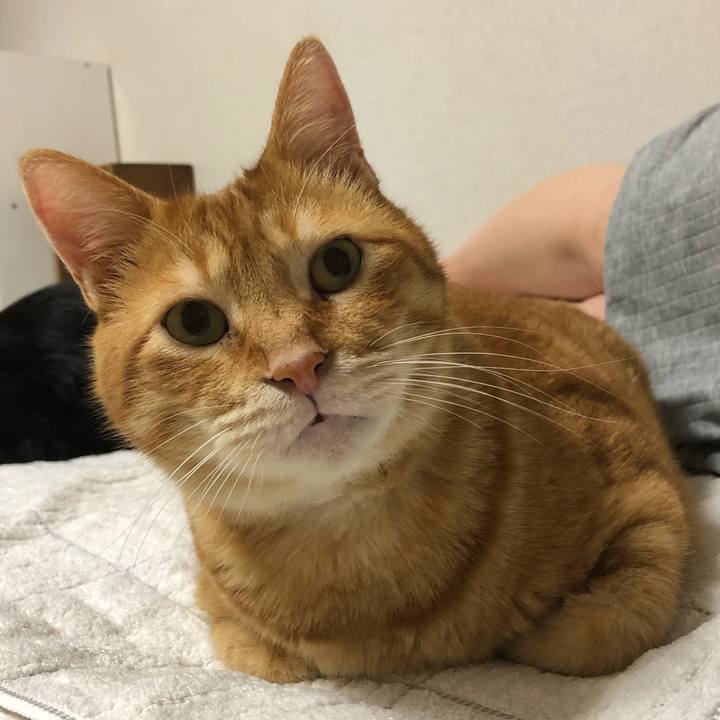 6ad98fc9 709e 489a b35c b3711cb5e0fa 1593430610316