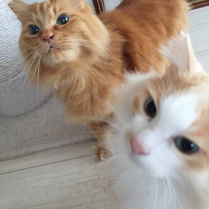 6ad9905f f588 407d 9d85 49221965dced 1553248735321