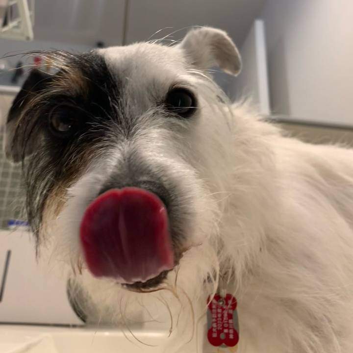 6ad9b34f 4052 4826 a9fb 2e33a82f2acd 1685494698080