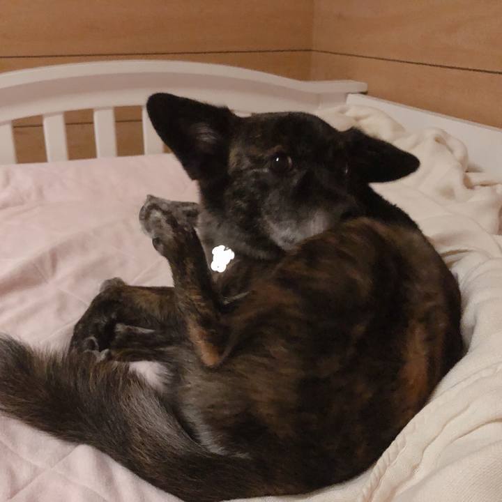 6ad9c84c 535e 4f2a bb73 2248a29e7459 1569947027738