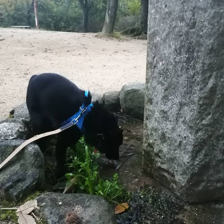 6ad9ca58 2873 4fb6 b664 e1561c8b3729 1603228489867