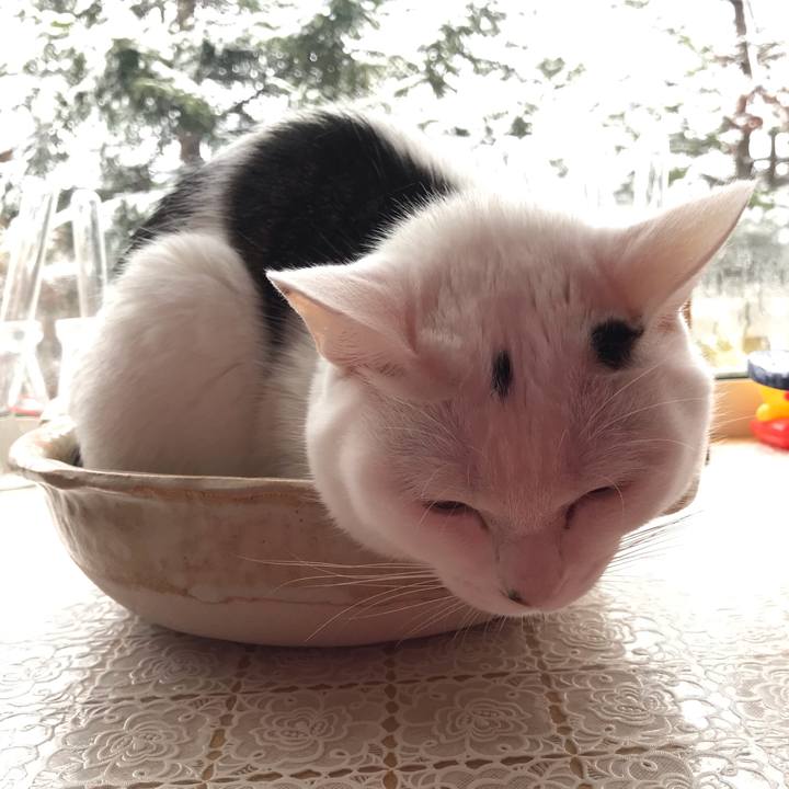 6ad9d8ab 6a7e 4dec afea 35068d2570db 1619054527420