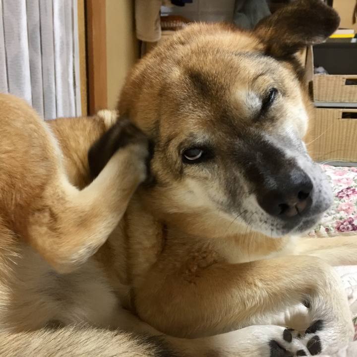 6ad9db22 4136 4219 b507 f542ddab9e55 1586770819047