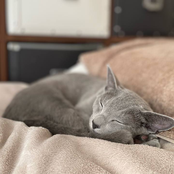 6ad9e08a 1c8e 47a5 b435 7cbe75dd1bd7 1637901315029