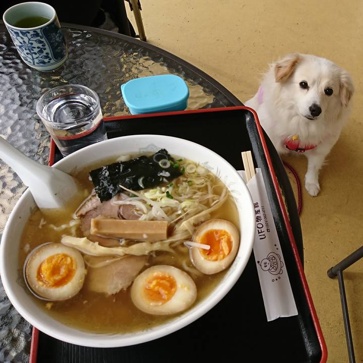 6ada00a9 fa84 412d 8e57 52b566590416 1519795218475