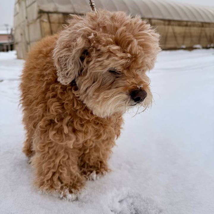 6ada01ee 6fe4 44b7 beb0 a99cfc1c1a94 1770542806978