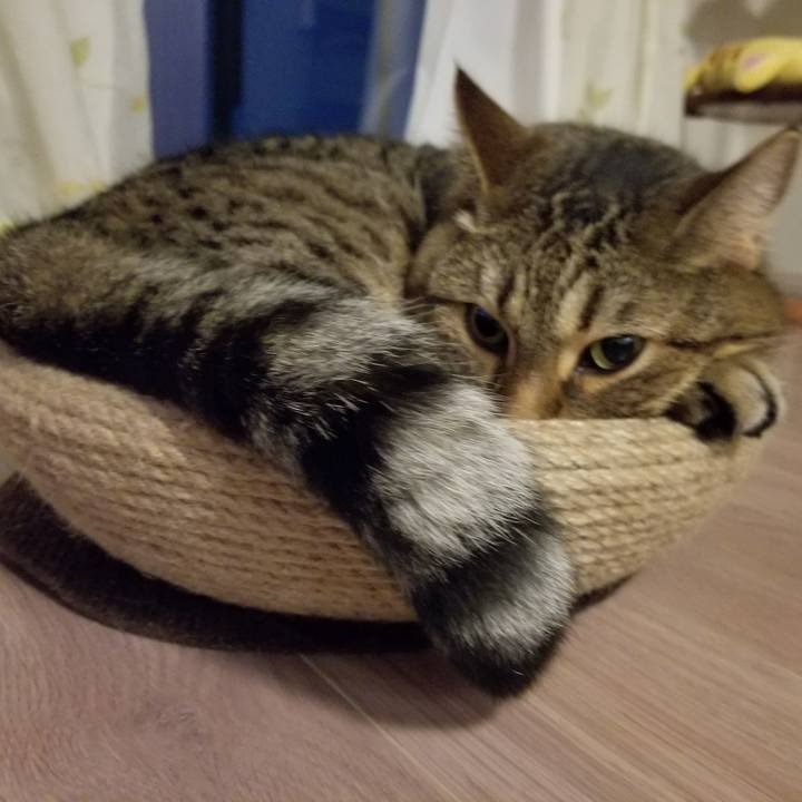 6ada3e3e 1817 4841 850c 71c6732cbe9e 1600305129988