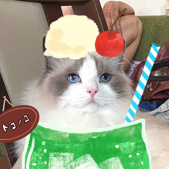 6ada655e 360a 47e8 80b3 dfd90c79d975 1755301844289