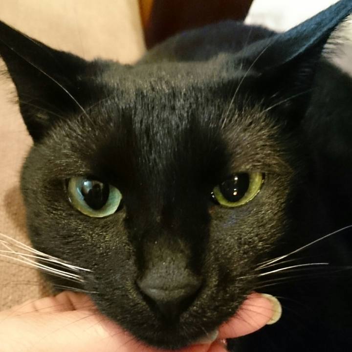 6ada6a25 bf71 461c 82e7 71f2d0c1d6eb 1515455178964