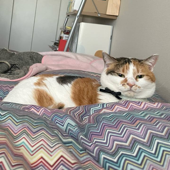 6ada9239 312d 4bc1 879c adb6f963fc05 1677800222323