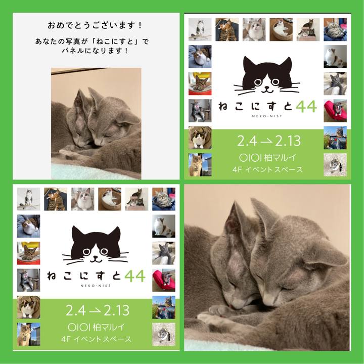 6adae349 c7ac 42a0 b0fa f47dff763a42 1640734000589