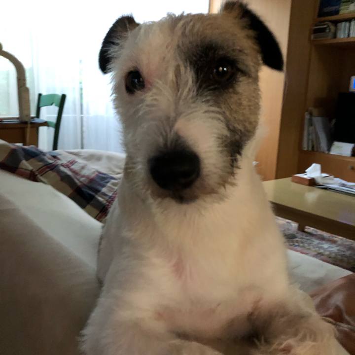 6adb000b 0e76 4b9c 9605 9adc3dcc524a 1562195957674