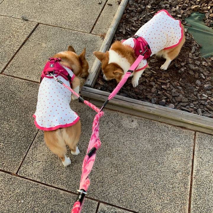 6adb0dc3 280c 412b a551 58fa2693d39f 1608274859708